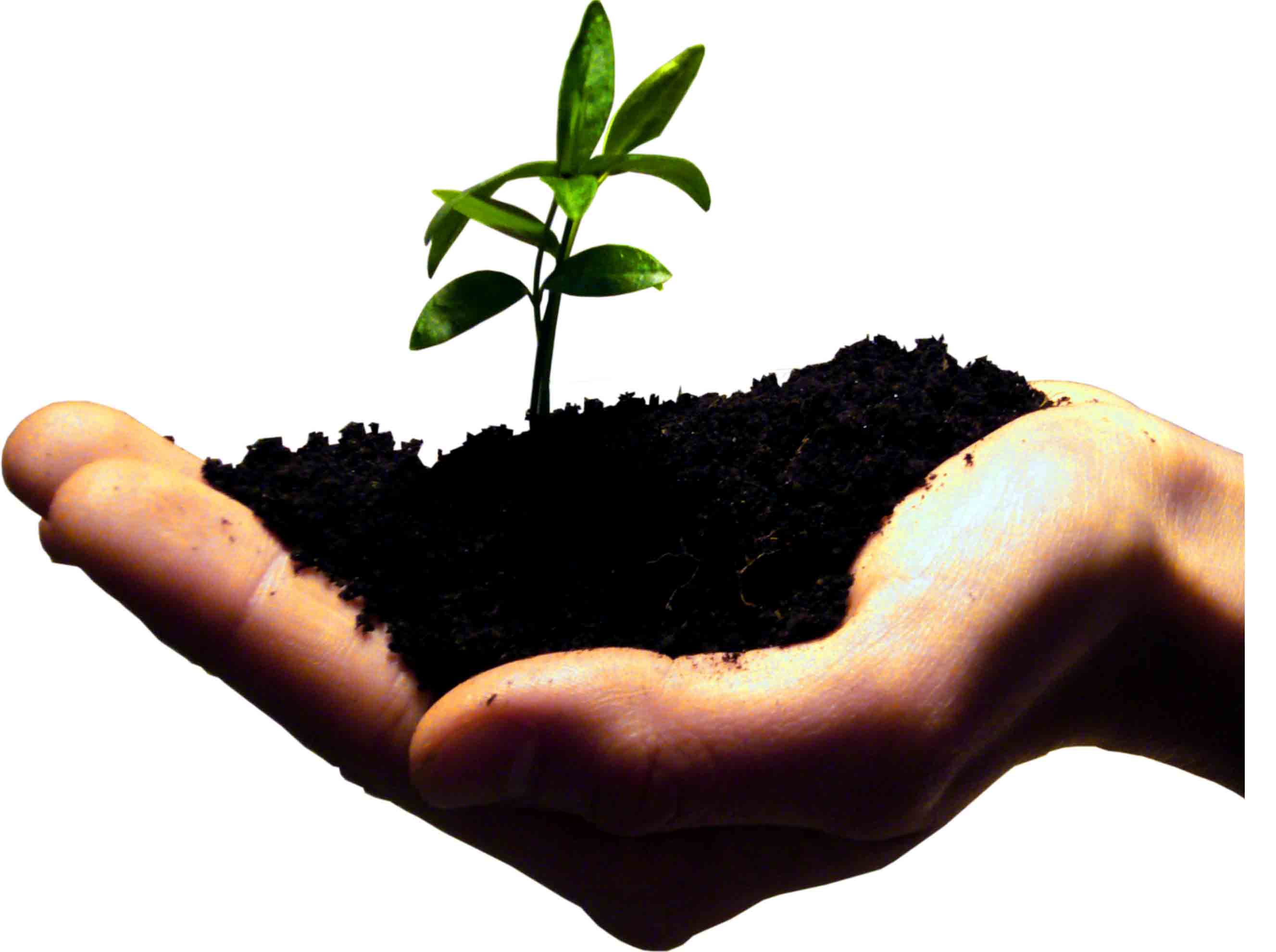 Рациональное использование экология. Защита почвы. Охрана почвы. Сохранение почвы. Почва и человек.